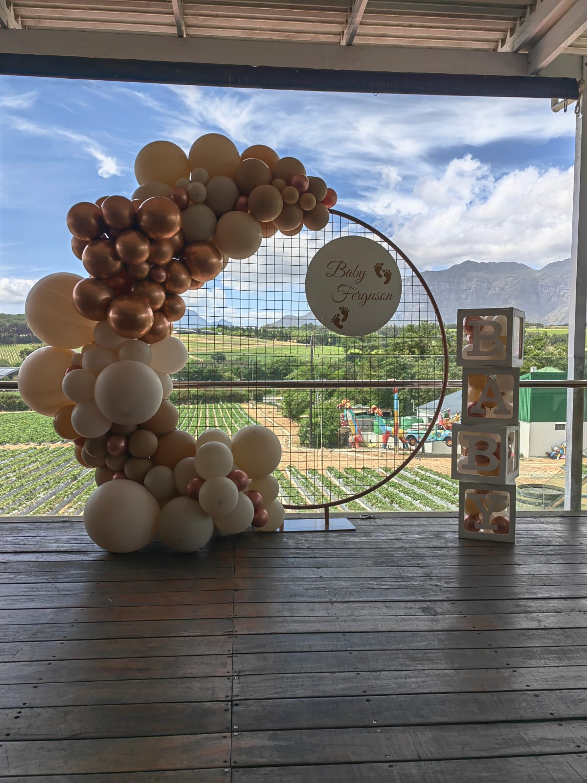 Round mesh circle arch with a personalised white round board complimented with our gorgeous garland and white baby boxes